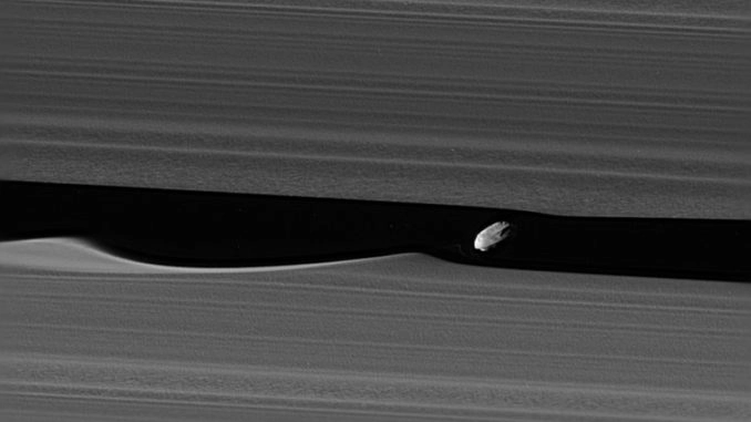 Daphnis satellite naturel de Saturne est une faiseuse de vagues