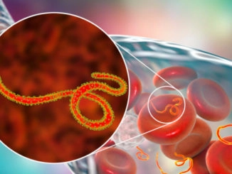 Peter Piot découvre le virus ebola et bien d'autres choses
