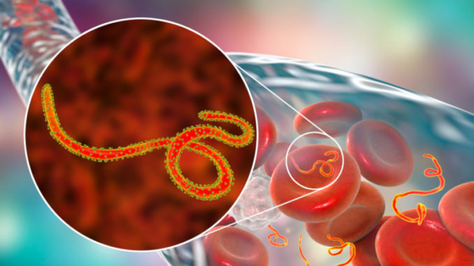 Peter Piot doscovered ebola virus as well as other things