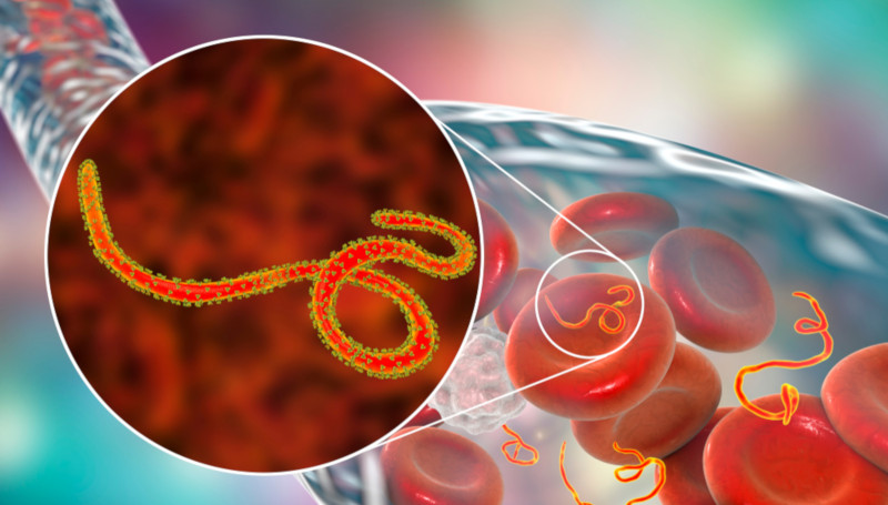 Peter Piot découvre le virus ebola et bien d'autres choses