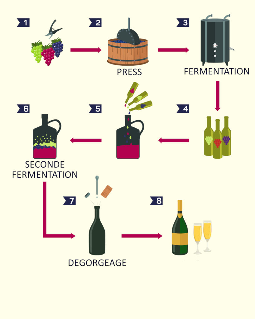 Where do champagne bubbles come from? Curiokids