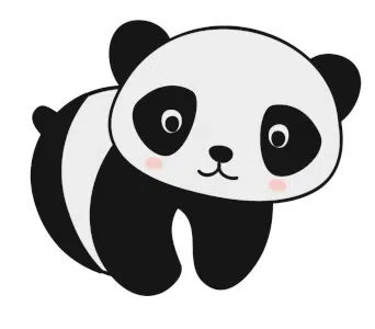 Pourquoi le panda est il noir et blanc Curiokids