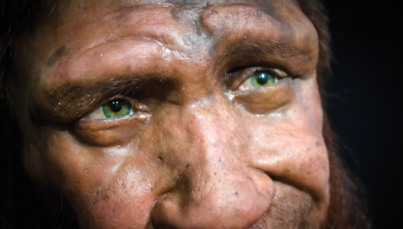 rencontre avec l'homme de Neandertal imprimé en 3D