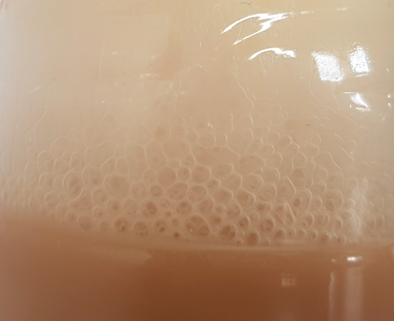 gisting van bacteriën
