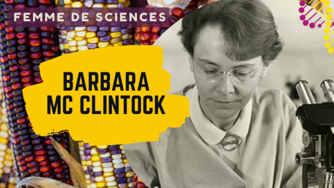 Barbara McClintock, une généticienne qui a su s'imposer - Curiokids