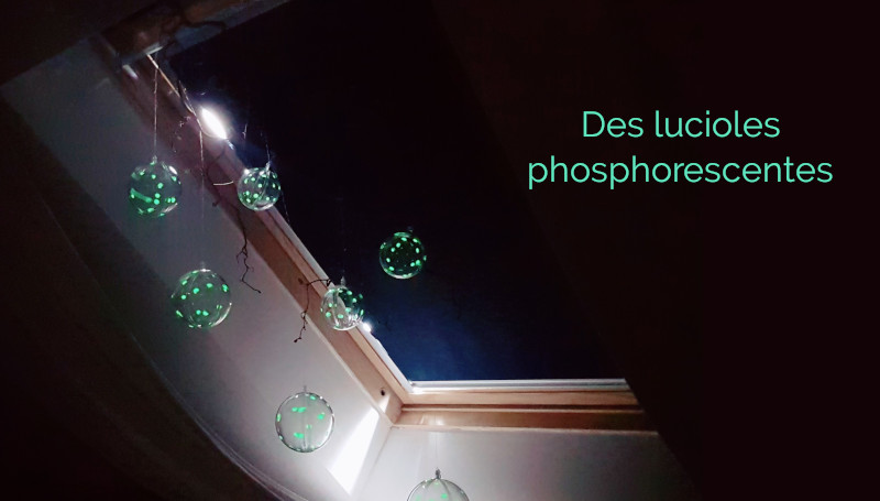 Et si tu fabriquais des lucioles phosphorescentes ? - Curiokids