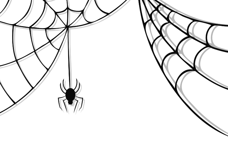 araignée graphique noire tissant sa toile