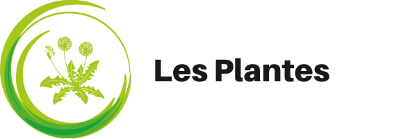 le royaume végétal expliqué aux enfants
