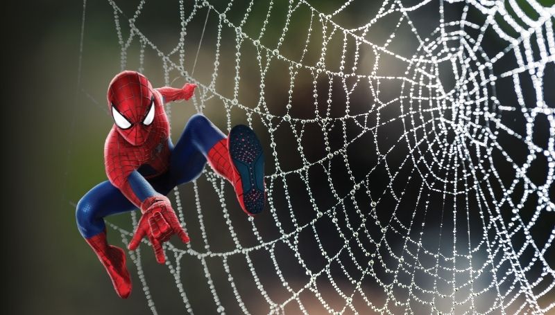 Top 63+ imagen spiderman toile d araignée