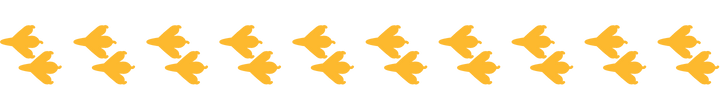 empreintes de perroquet jaune par curiokids