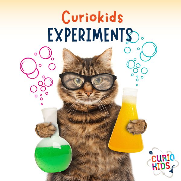 experiments for kids with curiokids