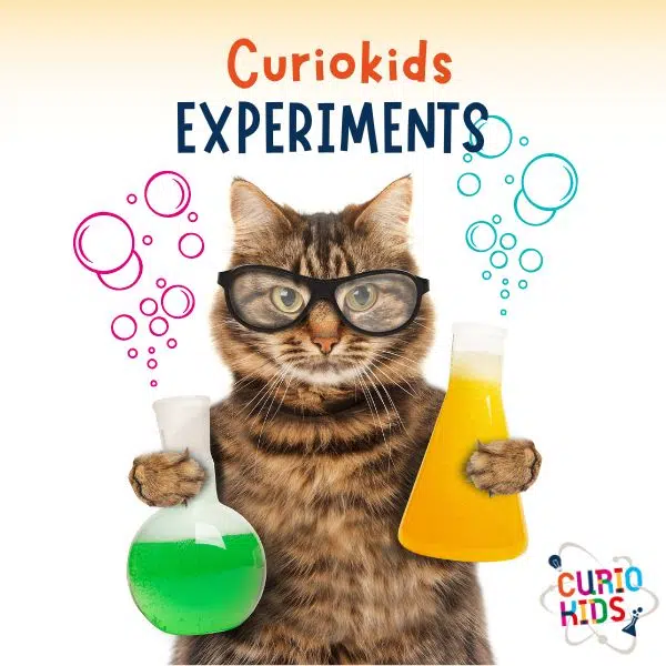experiments for kids with curiokids