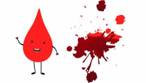une comprendre la composition du sang avec curiokids
