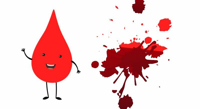 une comprendre la composition du sang avec curiokids
