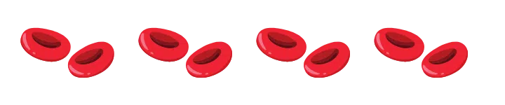 bandelette séparateur globule rouge