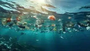 Pacifique, un continent de plastique créé par un vortex