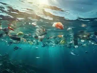Pacifique, un continent de plastique créé par un vortex
