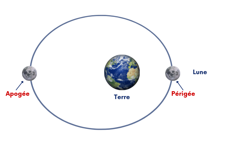 Moon's orbite and perigea