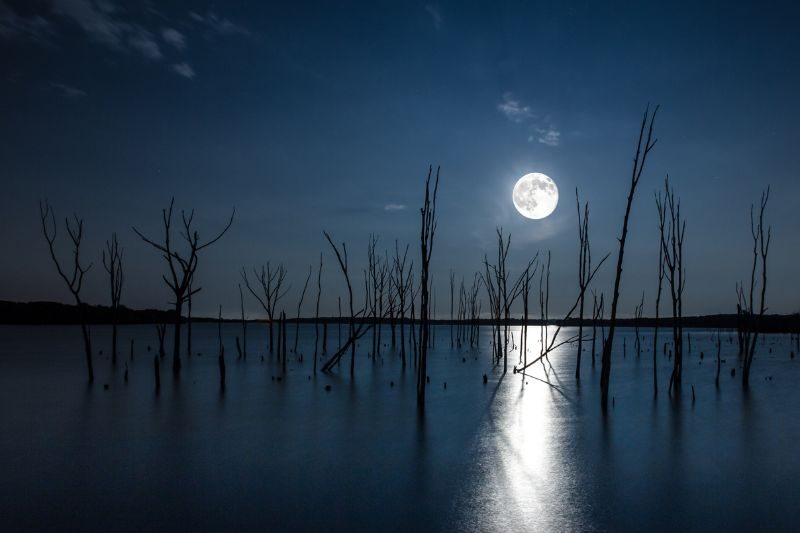 View of the super moon on water