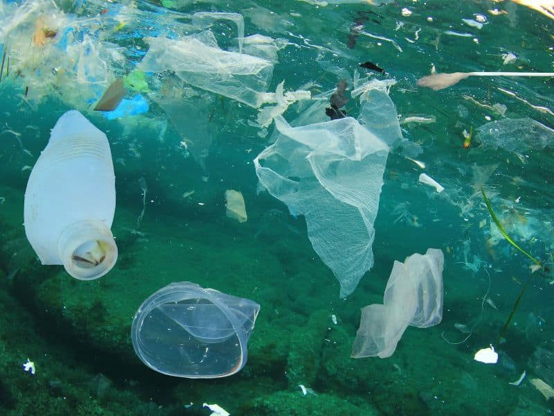 Le continent de plastique est constitué de 1.8 milliards de morceaux de plastique