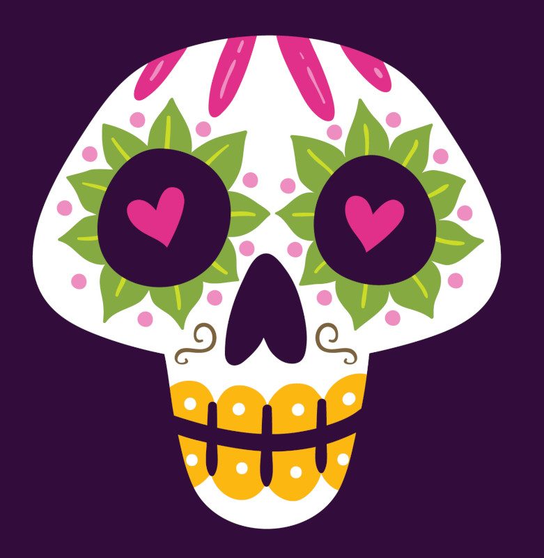 skull4_curiokids